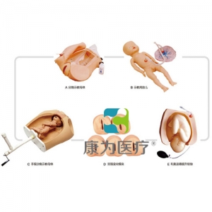 “康為醫(yī)療”高級腹部觸診、分娩機轉綜合模型