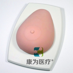 “康為醫(yī)療”高級(jí)乳腺檢查訓(xùn)練模型