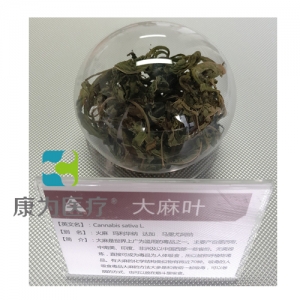 “康為醫(yī)療”仿真大麻葉